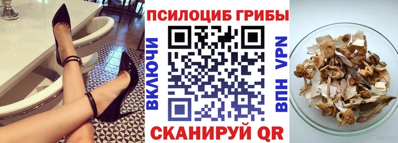 Галлюциногенные грибы MAGIC MUSHROOMS  Купить где  Апрелевка 